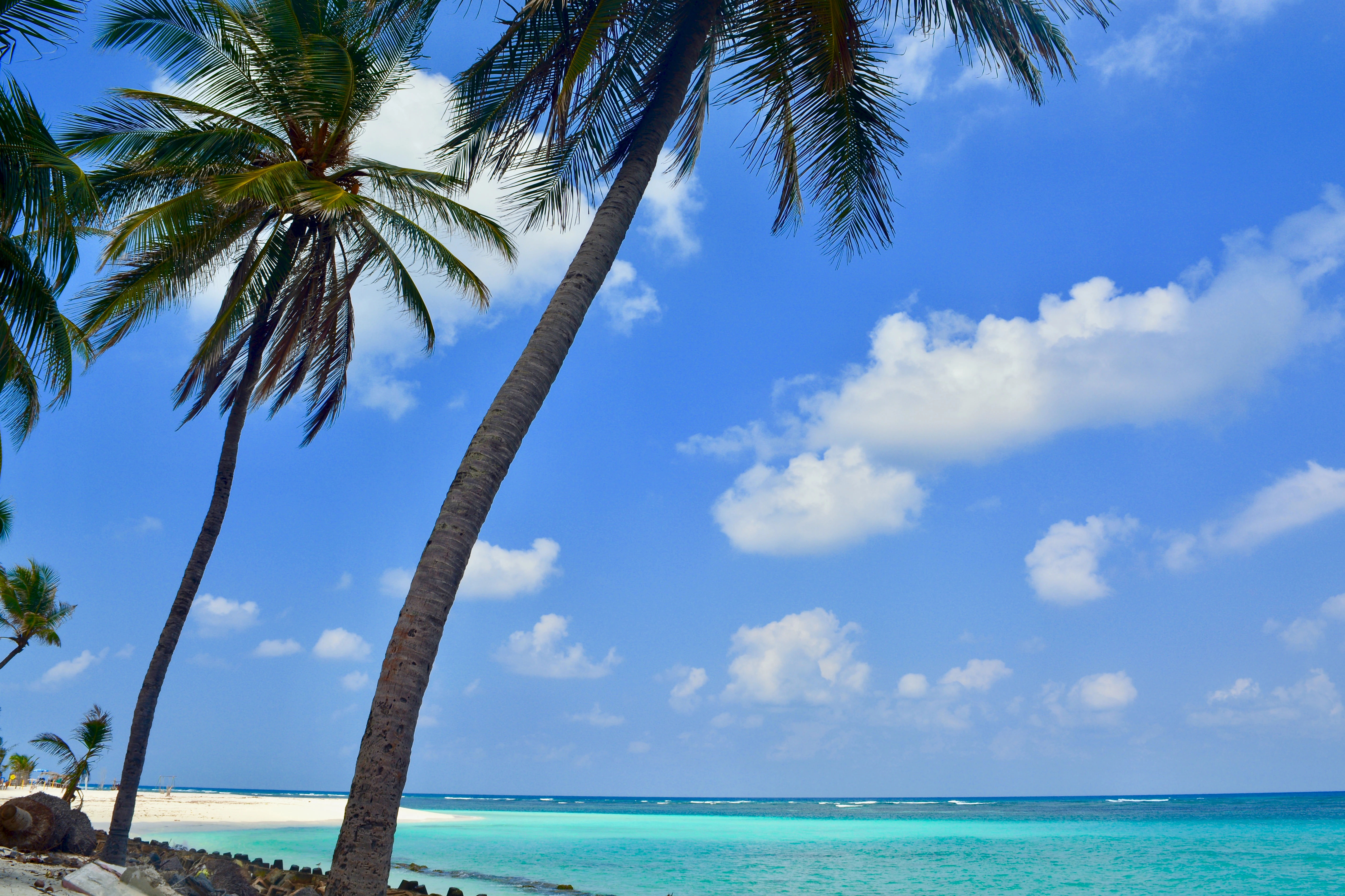 Beauty of Coral Reef Lakshadweep