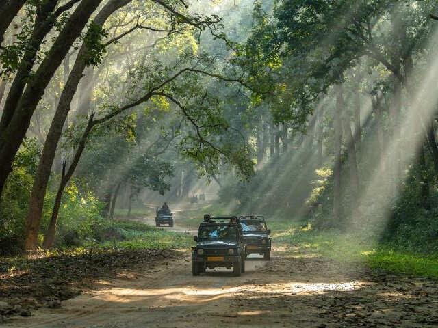 Uttarakhand Nainital Corbett Mussoorie Tour – 7 Days Divine Hills Escape